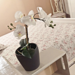 Bb Parma Casa Chiara 005.jpg