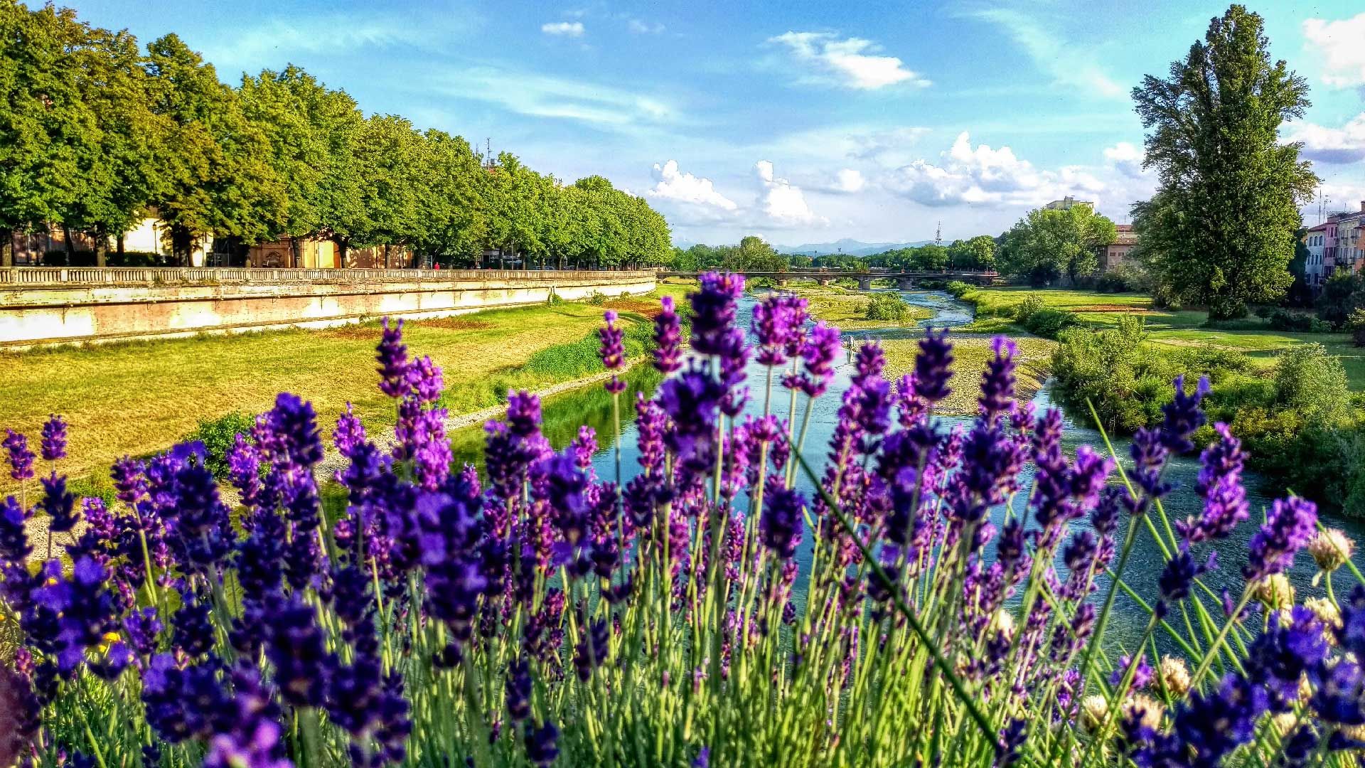 B&B Parma vicinanze ospedale maggiore